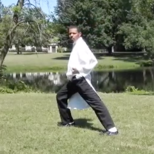 Backward Leaning Stance