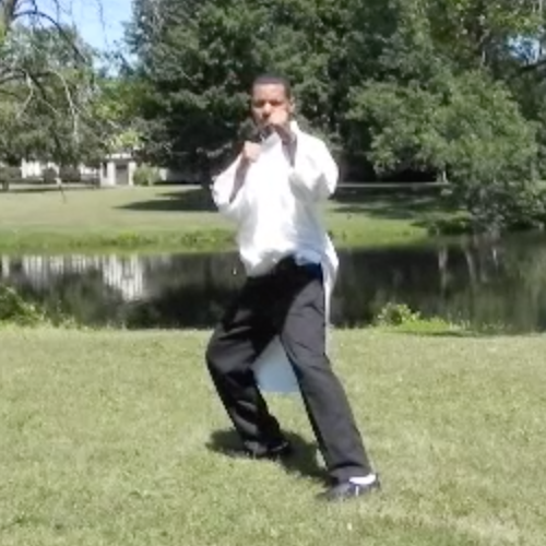 Dragon System Fighting Stance